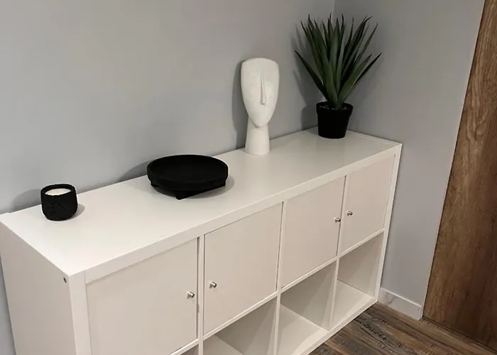 Appartement L'escale Aéro Lyon *