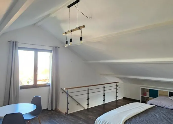 L'escale Aéro Lyon Appartement *